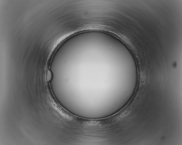 X0000116350846200912151349