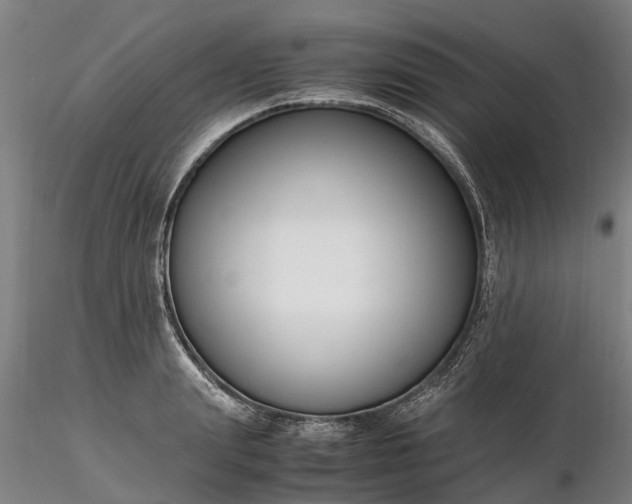 X0000116350847200912151349