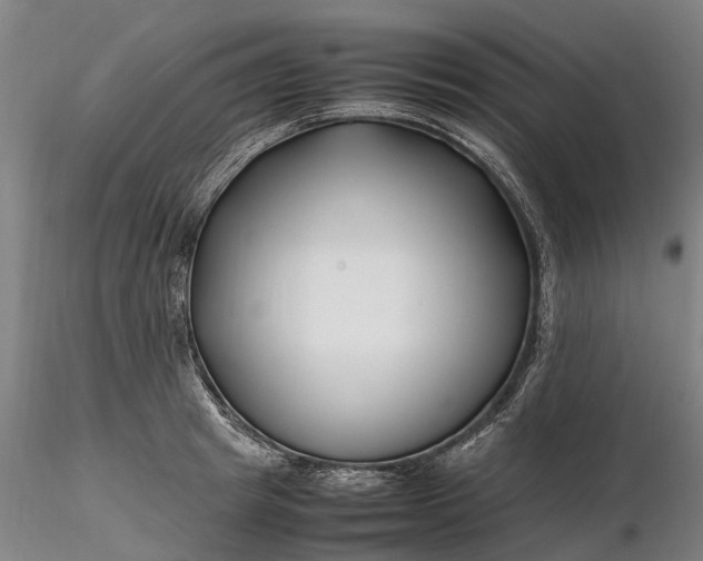 X0000116350849200912151349