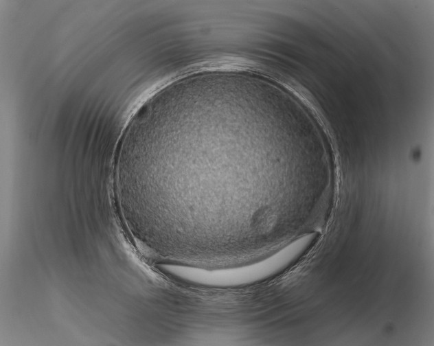 X0000116350850200912151349