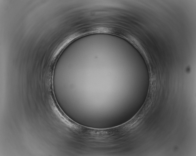 X0000116350851200912151349