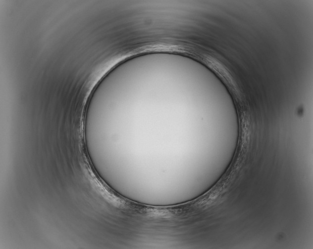 X0000116350852200912151349