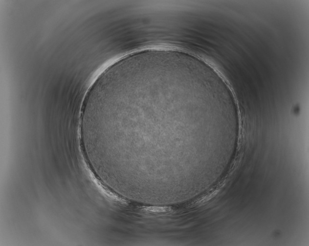 X0000116350853200912151349