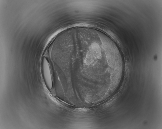 X0000116350854200912151349