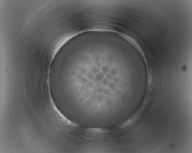 X0000116350855200912151349