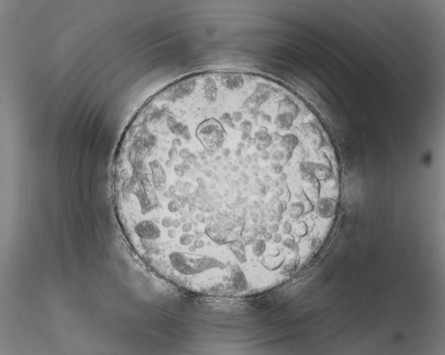 X0000116350856200912151349