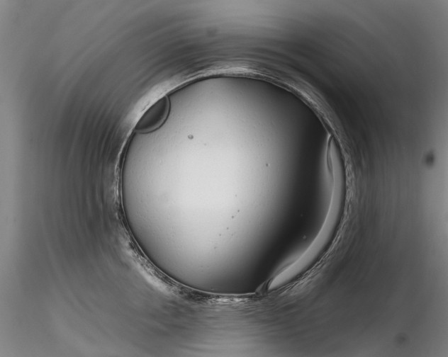 X0000116350858200912151349