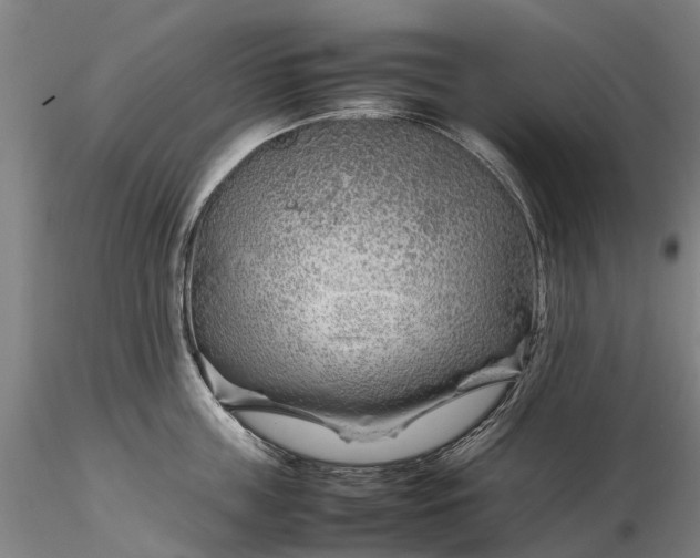 X0000116350859200912151349