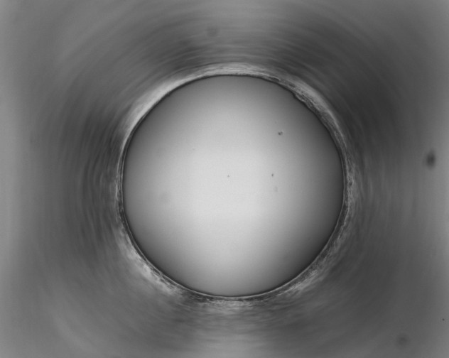 X0000116350860200912151350