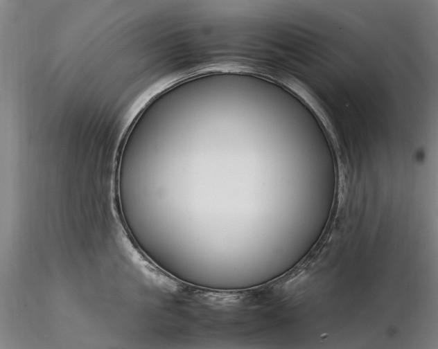 X0000116350861200912151350