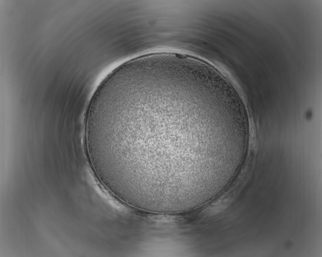 X0000116350862200912151350