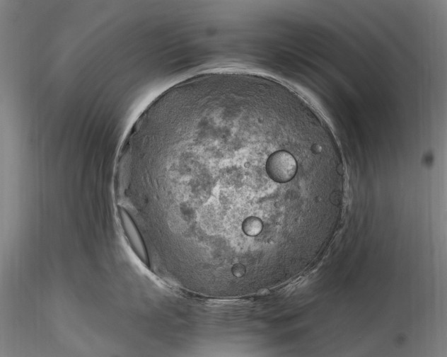 X0000116350863200912151350