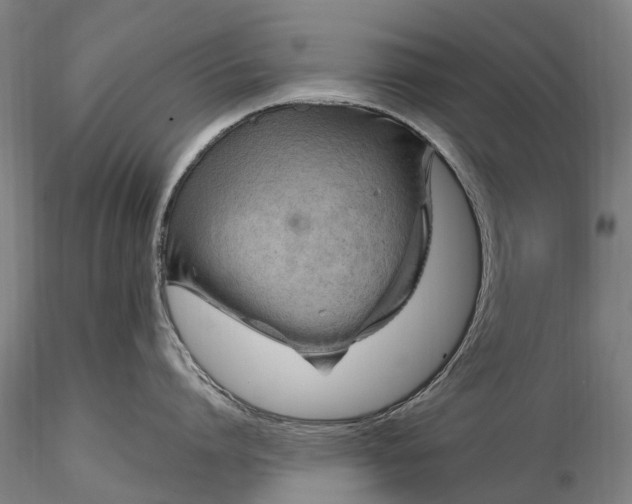 X0000116350864200912151350