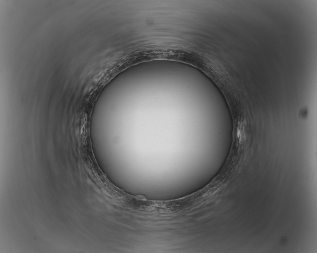 X0000116350867200912151349