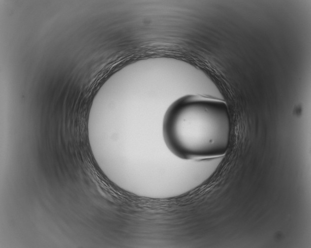 X0000116350868200912151349