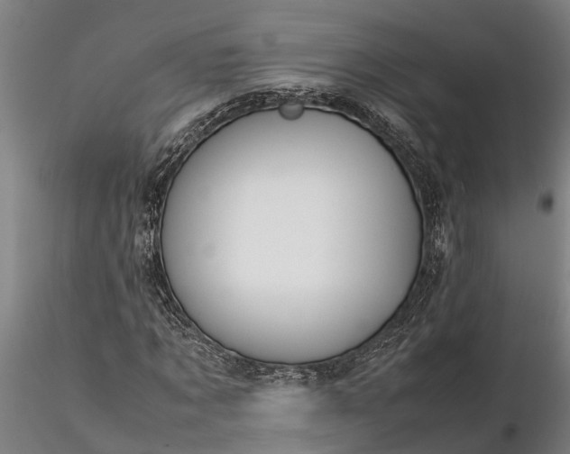 X0000116350869200912151349