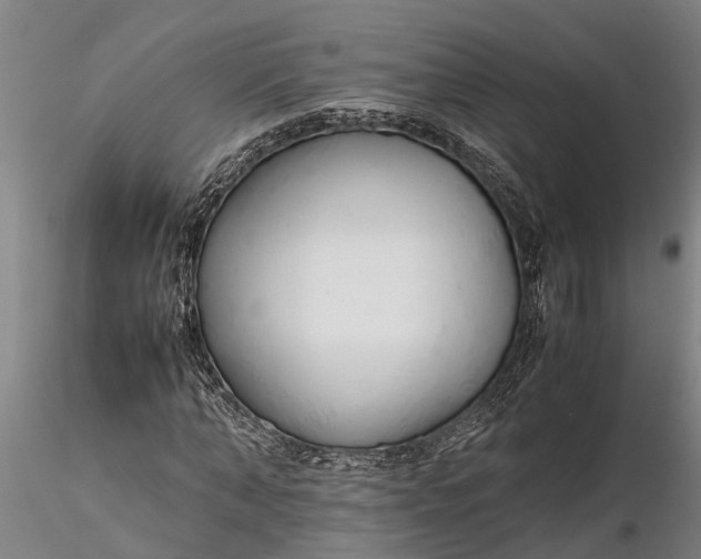 X0000116350870200912151349