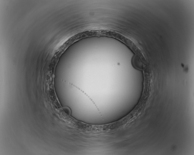 X0000116350871200912151349