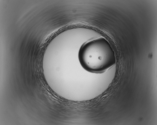 X0000116350872200912151349