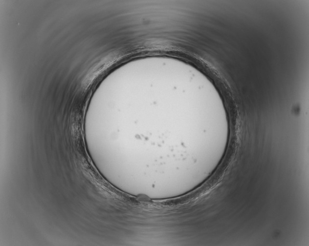 X0000116350873200912151349