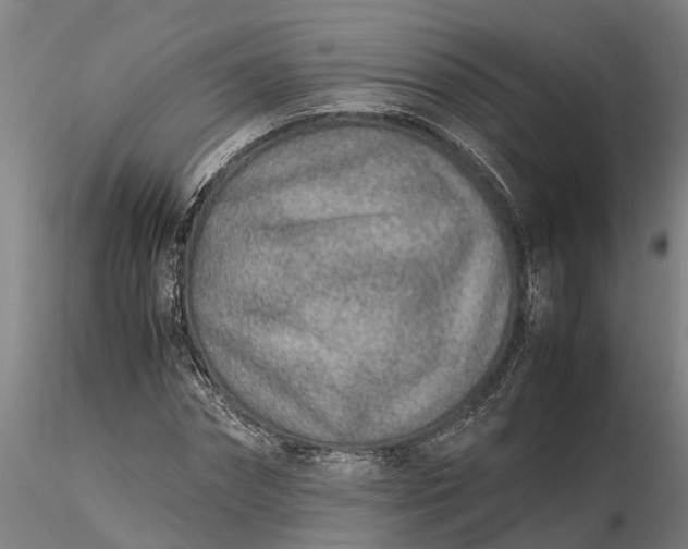 X0000116350874200912151349