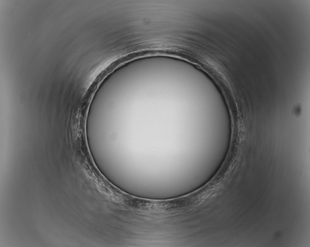 X0000116350875200912151349