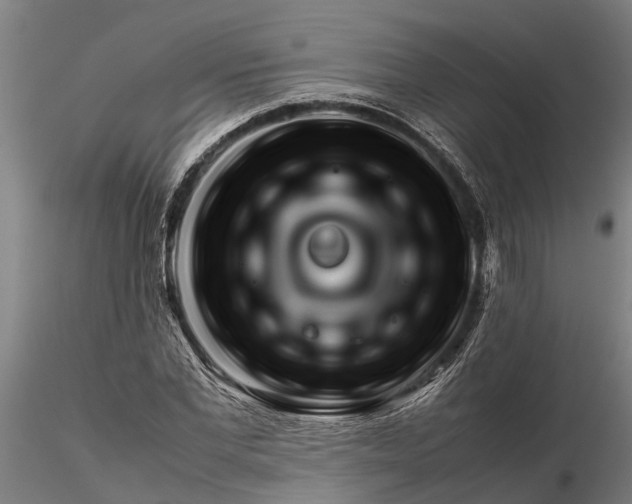 X0000116350877200912151349