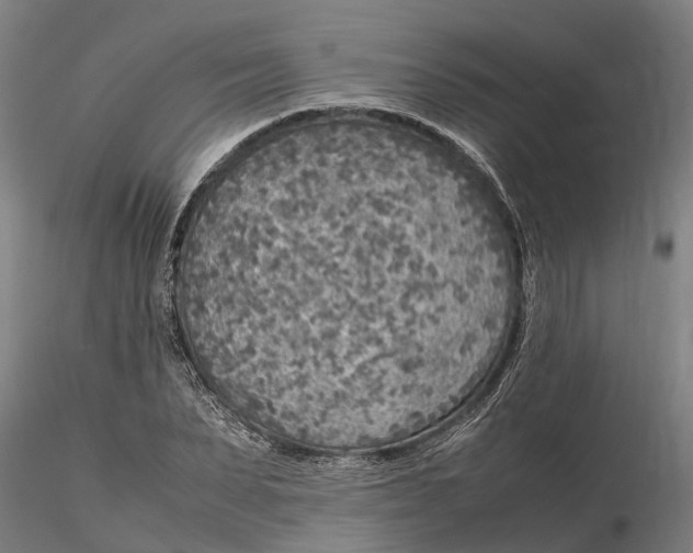 X0000116350879200912151349