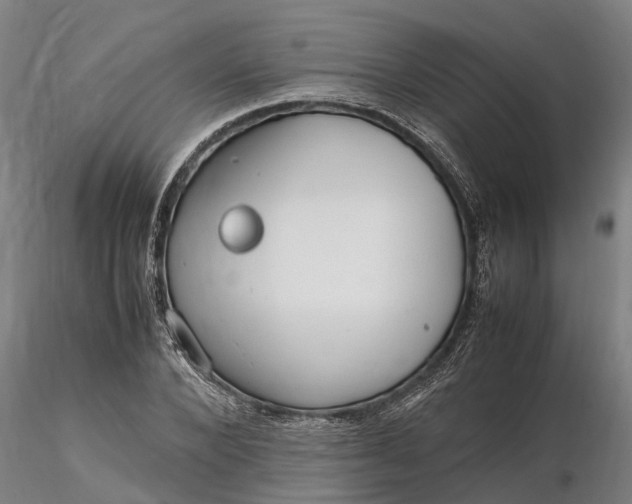 X0000116350880200912151349