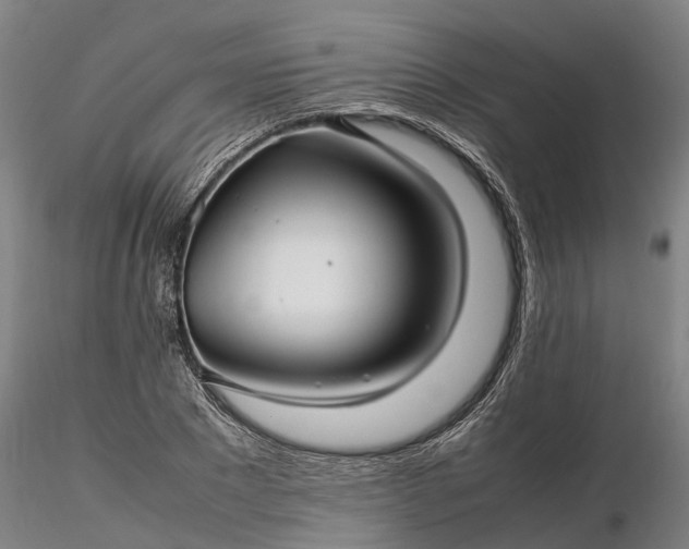 X0000116350881200912151349