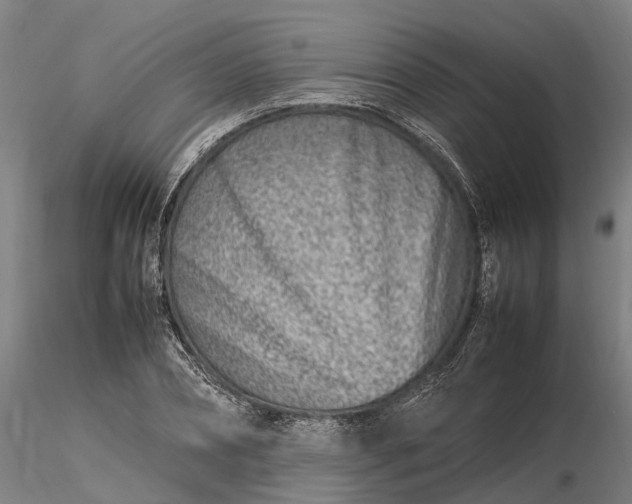 X0000116350882200912151349