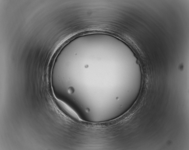 X0000116350884200912151349