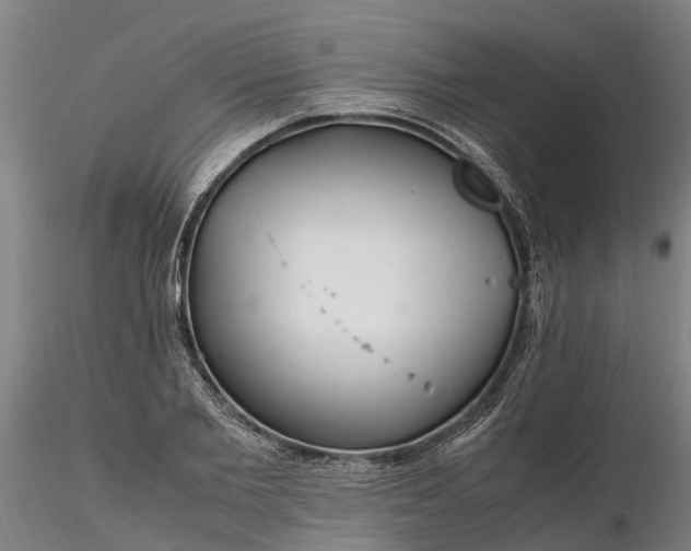 X0000116350885200912151349