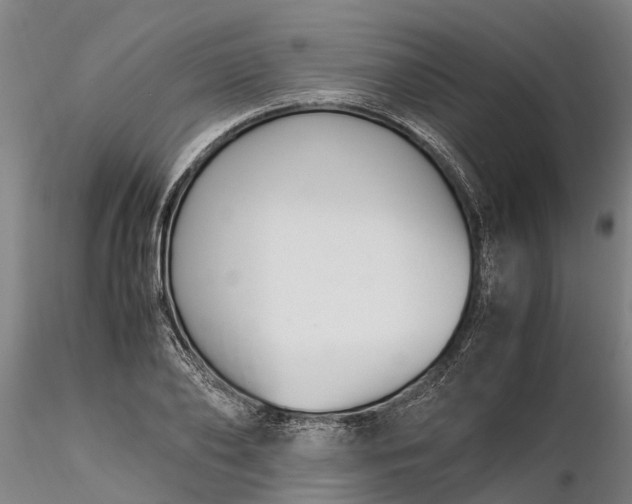 X0000116350886200912151349