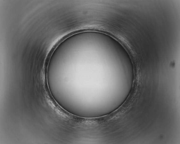 X0000116350888200912151349