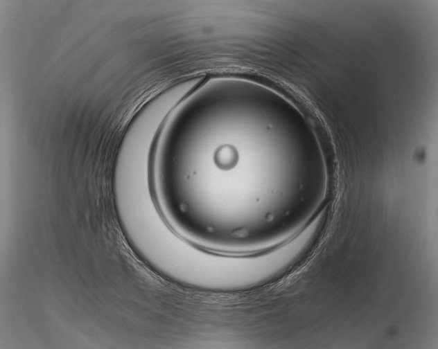 X0000116350889200912151349