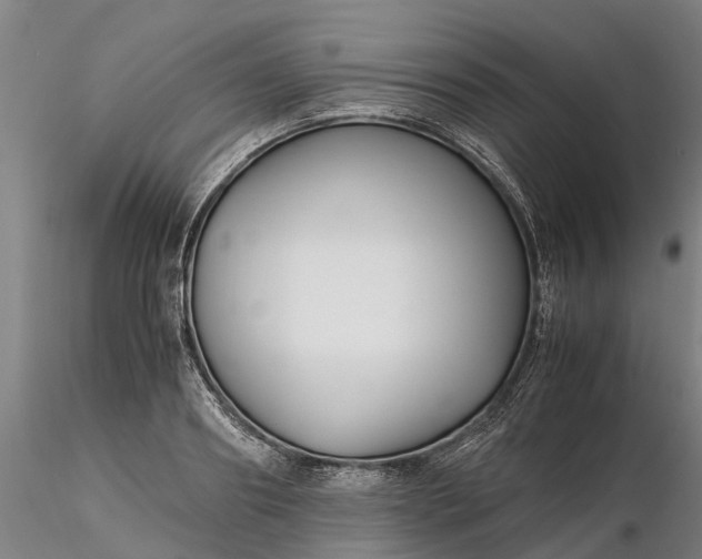 X0000116350890200912151349