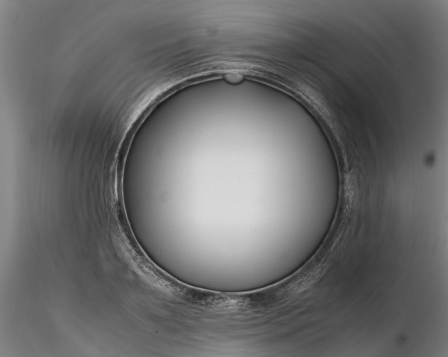 X0000116350891200912151349