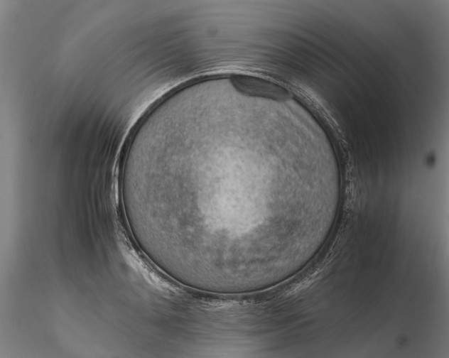 X0000116350892200912151348