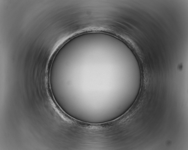 X0000116350894200912151348