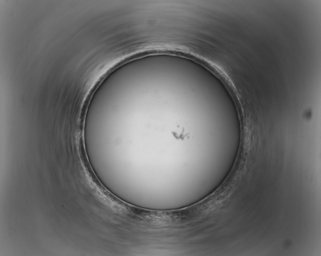 X0000116350895200912151348