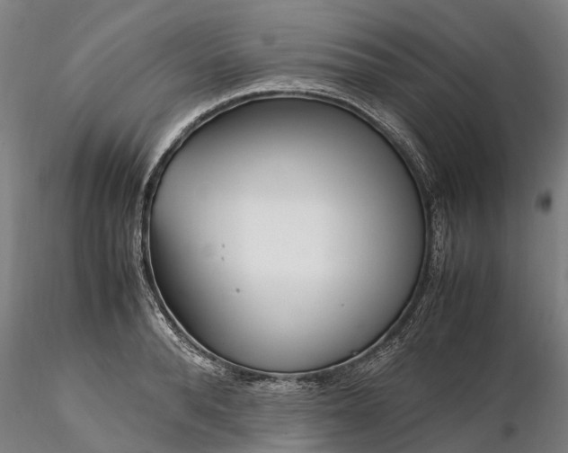 X0000116350896200912151348