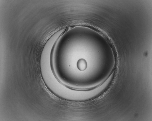 X0000116350897200912151348