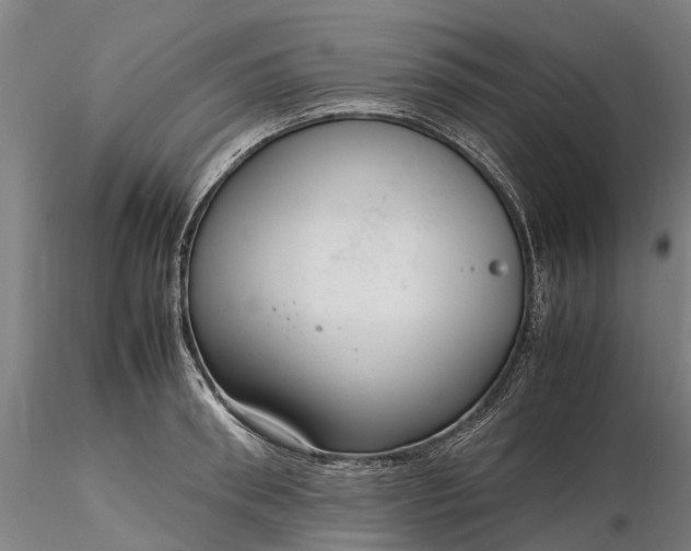 X0000116350898200912151348