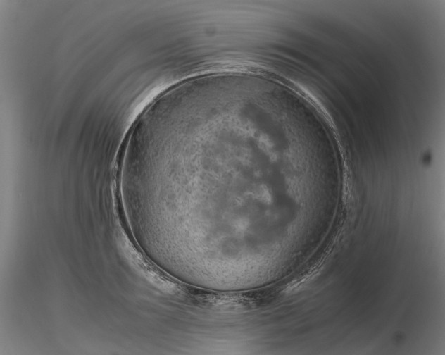 X0000116350899200912151348