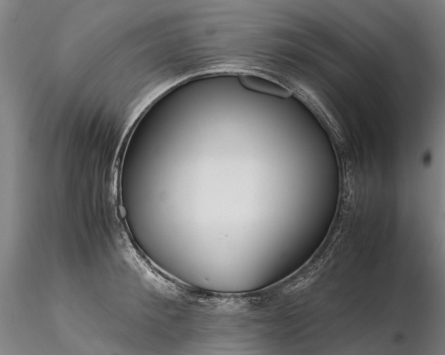 X0000116350900200912151348