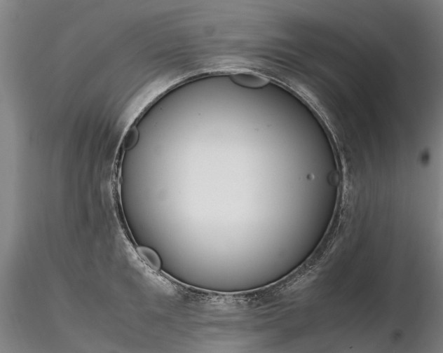 X0000116350901200912151348