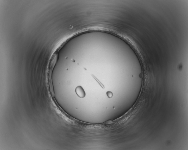 X0000116350902200912151348