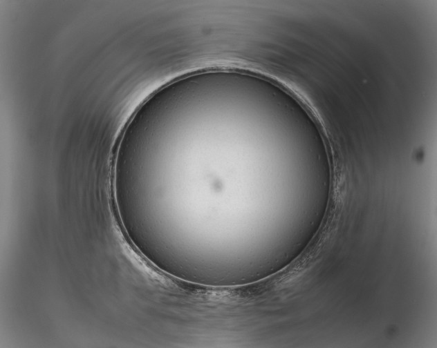 X0000116350903200912151348