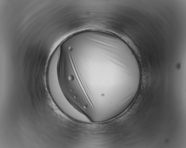 X0000116350904200912151348